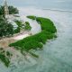Pulau Pramuka: Lokasi Strategis untuk Penanaman Mangrove & Restorasi Terumbu Karang