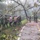 Respon Cepat TNI–Polri, Pohon Tumbang di Jalan Nasional Takengon–Blangkejeren Berhasil Dibersihkan