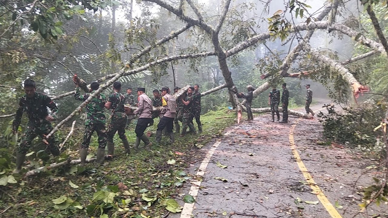 Respon Cepat TNI–Polri, Pohon Tumbang di Jalan Nasional Takengon–Blangkejeren Berhasil Dibersihkan