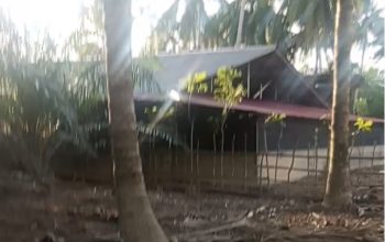 Limbah Peternakan Ayam Cemari Lingkungan dan Normalisasi Alur Irigasi Warga Desa Paya Gajah.