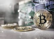 Bitcoin Tetap Menjadi Pilihan Pembelian Pertama bagi Investor Kripto Pemula di Indonesia