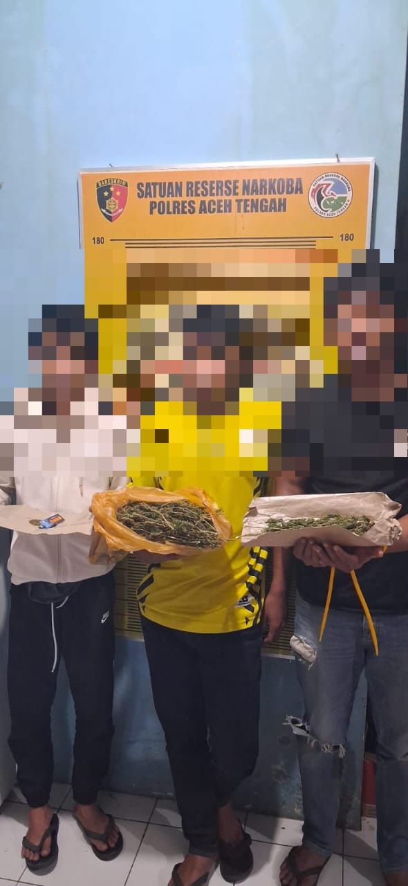 Sat Resnarkoba Polres Aceh Tengah Ungkap Kasus Narkotika Jenis Ganja, Tiga Pelaku Diamankan