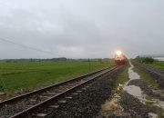 Jalur KA Tegowanu – Brumbung Aman Dilalui Usai Genangan Surut dan Dilakukan Penanganan Tim Daop 4, Perjalanan KA Normal Kembali