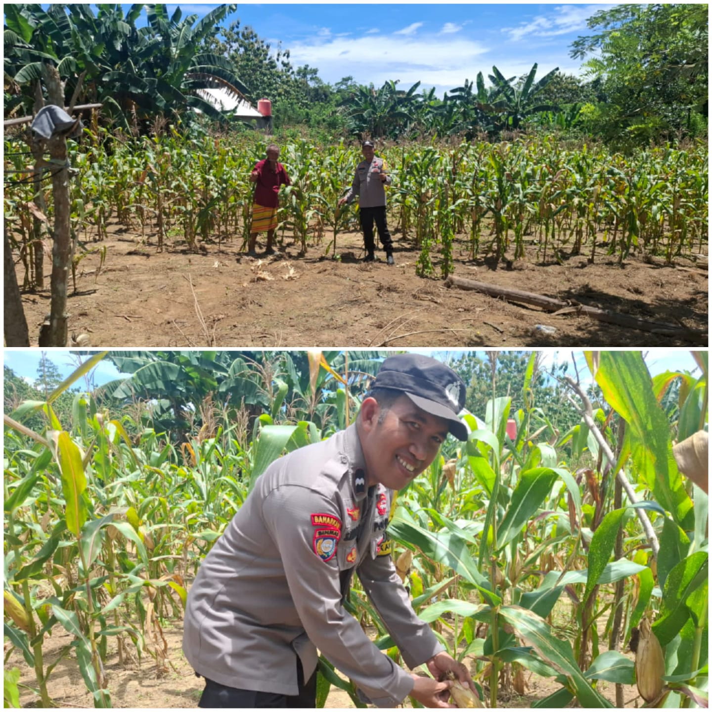 Manfaatkan Lahan Kosong Guna Dukung Swasembada Pangan Nasional, Bhabinkamtibmas Polsek Baruga Rutin Sambangi Warga Binaannya