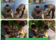 Polsek Tanjung Cepat Tanggapi Laporan Masyarakat Dugaan Perusakan Dan Teror Oleh Seseorang Yang Sudah Di ketahui Ciri Cirinya 