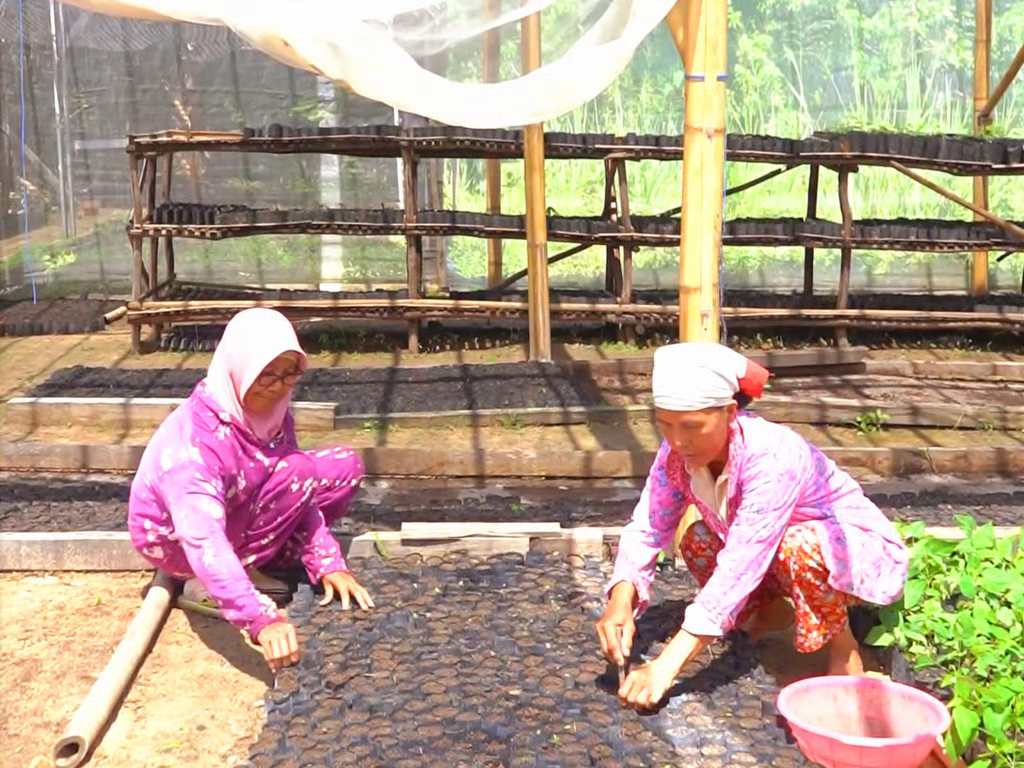 MIND ID Bina Lebih dari 10.000 UMKM untuk Perkuat Ekonomi Lokal dan Tekan Kemiskinan