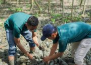 Perusahaan Tambang Pelat Merah Wajib Perkuat Operasional Bertanggung Jawab Perusahaan Tambang Pelat Merah Wajib Perkuat Operasional Bertanggung Jawab