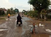 Jalan Provinsi Simpang PU Tulang bawang Barat -Tembus Lampung Utara Jalan Rusak Parah Hambat Lalulintas Dan Ekonomi Masarakat.