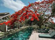 ASAI Village Jimbaran: Oase Wellness di Bali ASAI Village Jimbaran: Oase Wellness di Bali