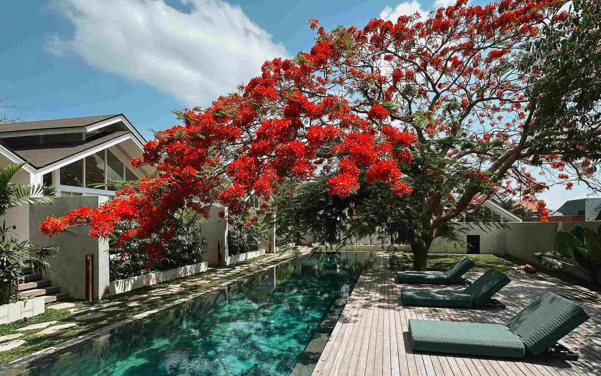 ASAI Village Jimbaran: Oase Wellness di Bali