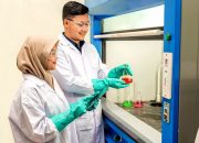 Anggaran Riset Rp12 Triliun Dukung Hilirisasi dan Swasembada Energi, Kemendiktisaintek Kerja Sama dengan MIND ID