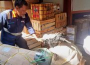 Dukung Mobilitas di Kampung Halaman, Pengiriman Sepeda Motor Meningkat Jelang Mudik Dukung Mobilitas di Kampung Halaman, Pengiriman Sepeda Motor Meningkat Jelang Mudik