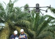 Manajemen Vegetasi dan Analisis Koridor Transmisi dengan Software LiDAR Terrasolid