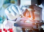 Prodia Hadirkan Advanced Lipid Profile dengan Report Komprehensif, Bantu Masyarakat Pahami Arti di Balik Angka Kolesterol