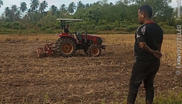 KEGIATAN PENGOLAHAN LAHAN KERING DAN PENANAMAN SEMANGKA OLEH BRIGADE MUDA TANI DESA PAYA GAJAH.
