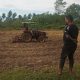 KEGIATAN PENGOLAHAN LAHAN KERING DAN PENANAMAN SEMANGKA OLEH BRIGADE MUDA TANI DESA PAYA GAJAH.