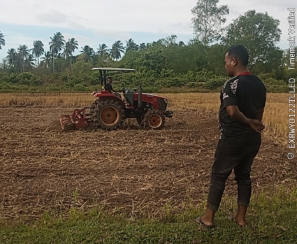 KEGIATAN PENGOLAHAN LAHAN KERING DAN PENANAMAN SEMANGKA OLEH BRIGADE MUDA TANI DESA PAYA GAJAH.