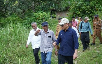 Didorong Kementan, Holding Perkebunan Nusantara Percepat Hilirisasi Gambir Nasional