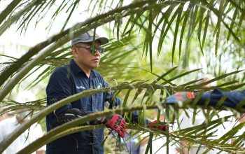 Holding Perkebunan Nusantara Siaga Hadapi Kemarau, PalmCo Perkuat Deteksi Dini Karhutla dan Strategi Agronomi Holding Perkebunan Nusantara Siaga Hadapi Kemarau, PalmCo Perkuat Deteksi Dini Karhutla dan Strategi Agronomi