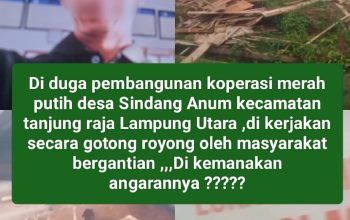 Di Duga Pembangunan Koprasi Merah Putih Di Desa Sindang Anom Masarakat Harus Bergotong Royong Bergantian Kemana Anggaran Nya