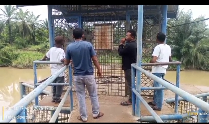 Ketua Brigade Pangan Perkasa desa Paya Seungat, Jumat (18/04/2026) bersama anggota sedang memantau dap pompa air yang rusak akibat bencana banjir beberapa bulan yang lalu