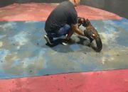 Kapolsek Kutalimbaru diduga terima setoran dari Sabung ayam Gudang “Alamjaya diduga milik Edy,Kapolda sumut diminta copot kapolsek kutalimbaru dan tangkap bandar judi sabung ayam