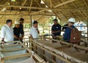 Perkuat Strategi Peningkatan Produksi dan Pengamanan Aset, Operational Strategic Advisory PTPN III (Persero) Kunjungi PTPN IV Regional VII