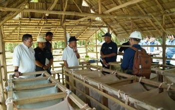 Perkuat Strategi Peningkatan Produksi dan Pengamanan Aset, Operational Strategic Advisory PTPN III (Persero) Kunjungi PTPN IV Regional VII