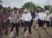 Dukung Ketahanan Pangan, Holding Perkebunan Nusantara Lewat PalmCo Perkuat Kemitraan Petani di Jambi