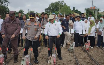 Dukung Ketahanan Pangan, Holding Perkebunan Nusantara Lewat PalmCo Perkuat Kemitraan Petani di Jambi